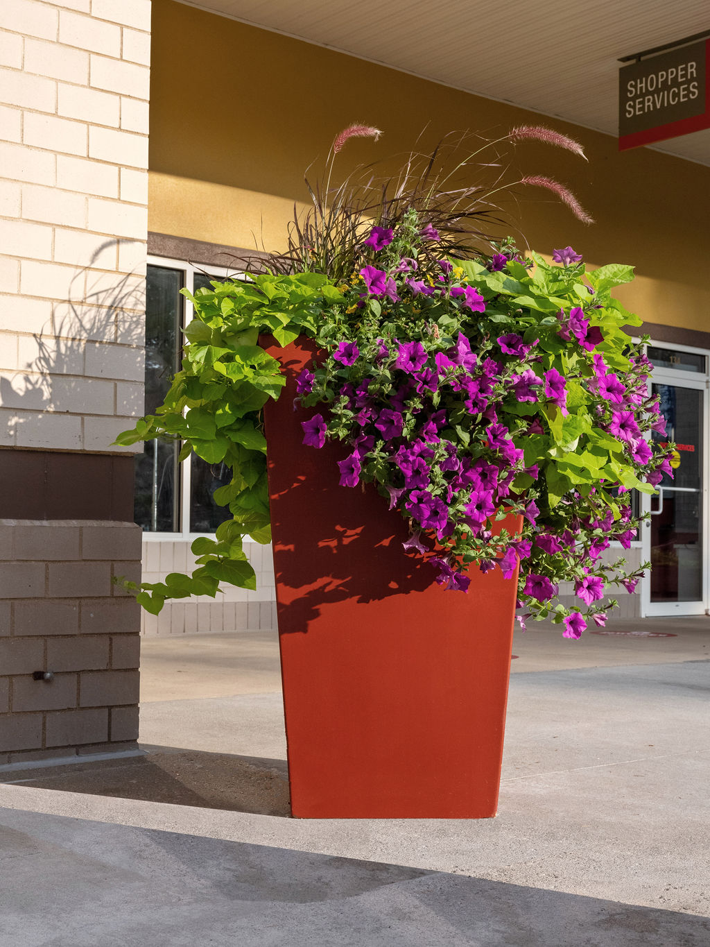 Commercial landscape project